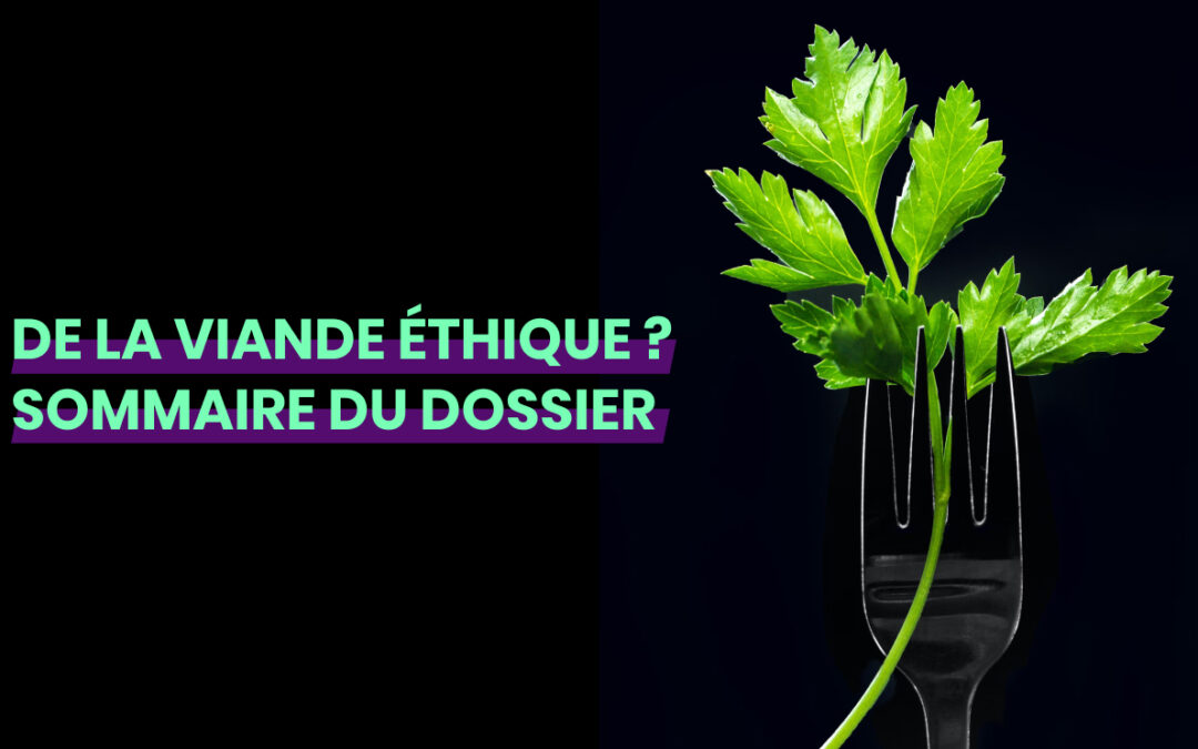 Dossier éthique : doit-on arrêter de manger de la viande ? [Sommaire]