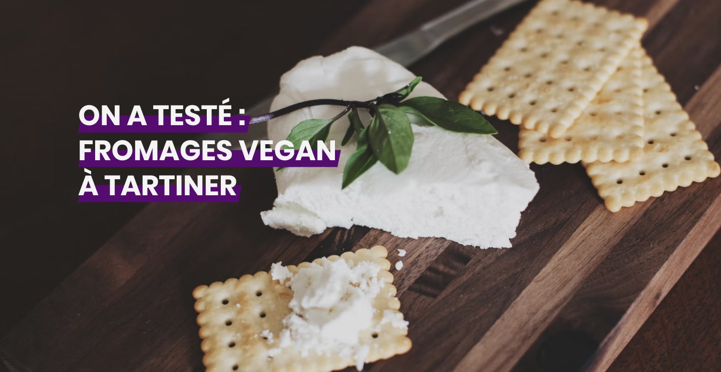 Meilleur fromage vegan ! Alternative végétale saine et gourmande